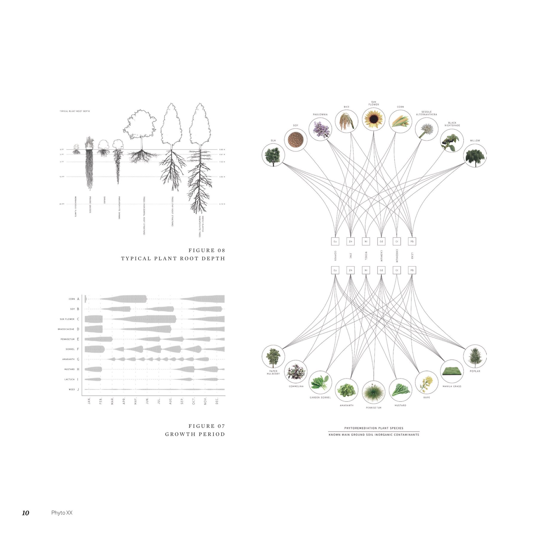 重金屬-植物對應網絡圖